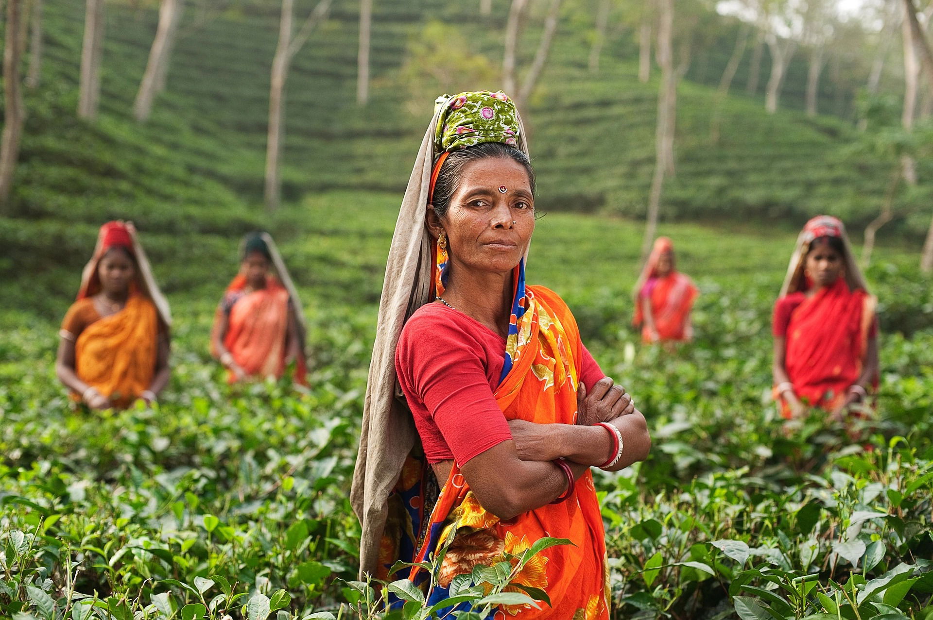 La Pharmacopée Ayurvédique indienne