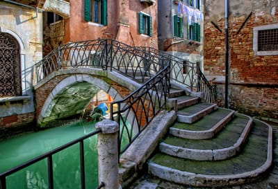 About VENICE image