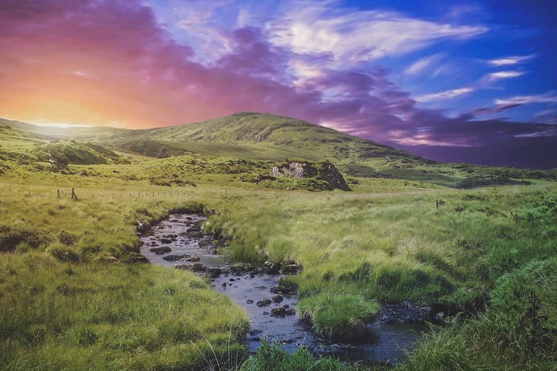 A summer stream