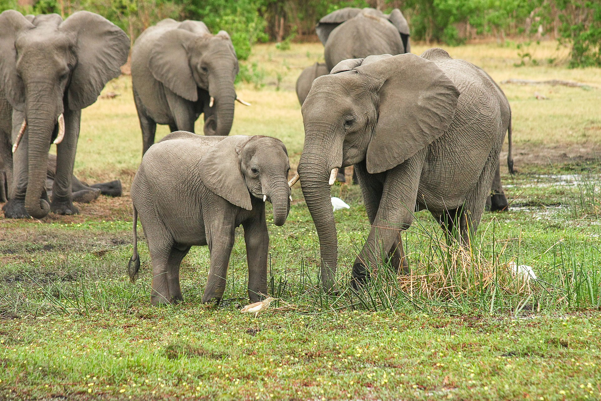 1 NIGHT/ 2 DAYS LAKE NAKURU & LAKE NAIVASHA