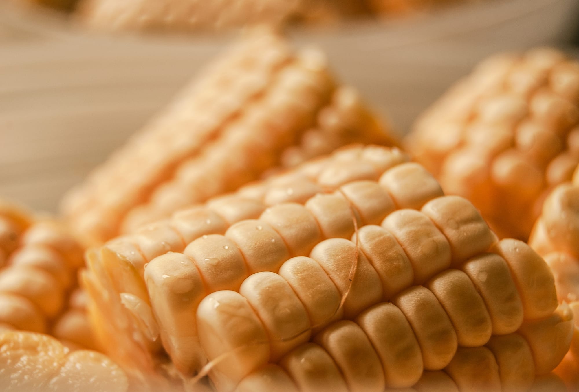 Is Maize India’s Next Big Investment Opportunity?