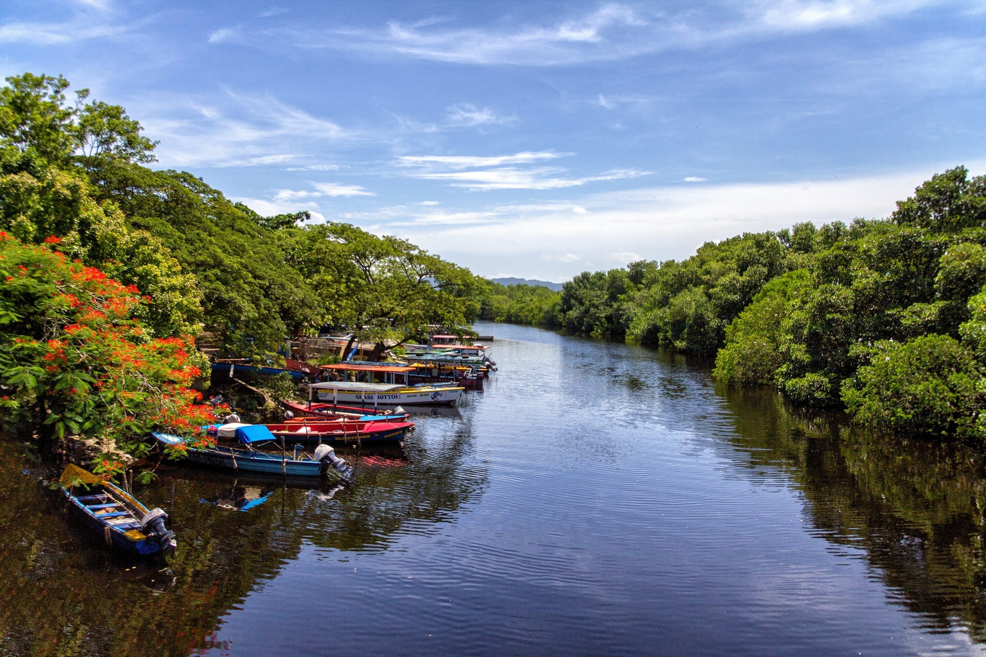 Jamaica wants to pump up the volume on reggae