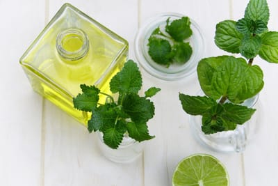 HERBS FOR THE BODY image