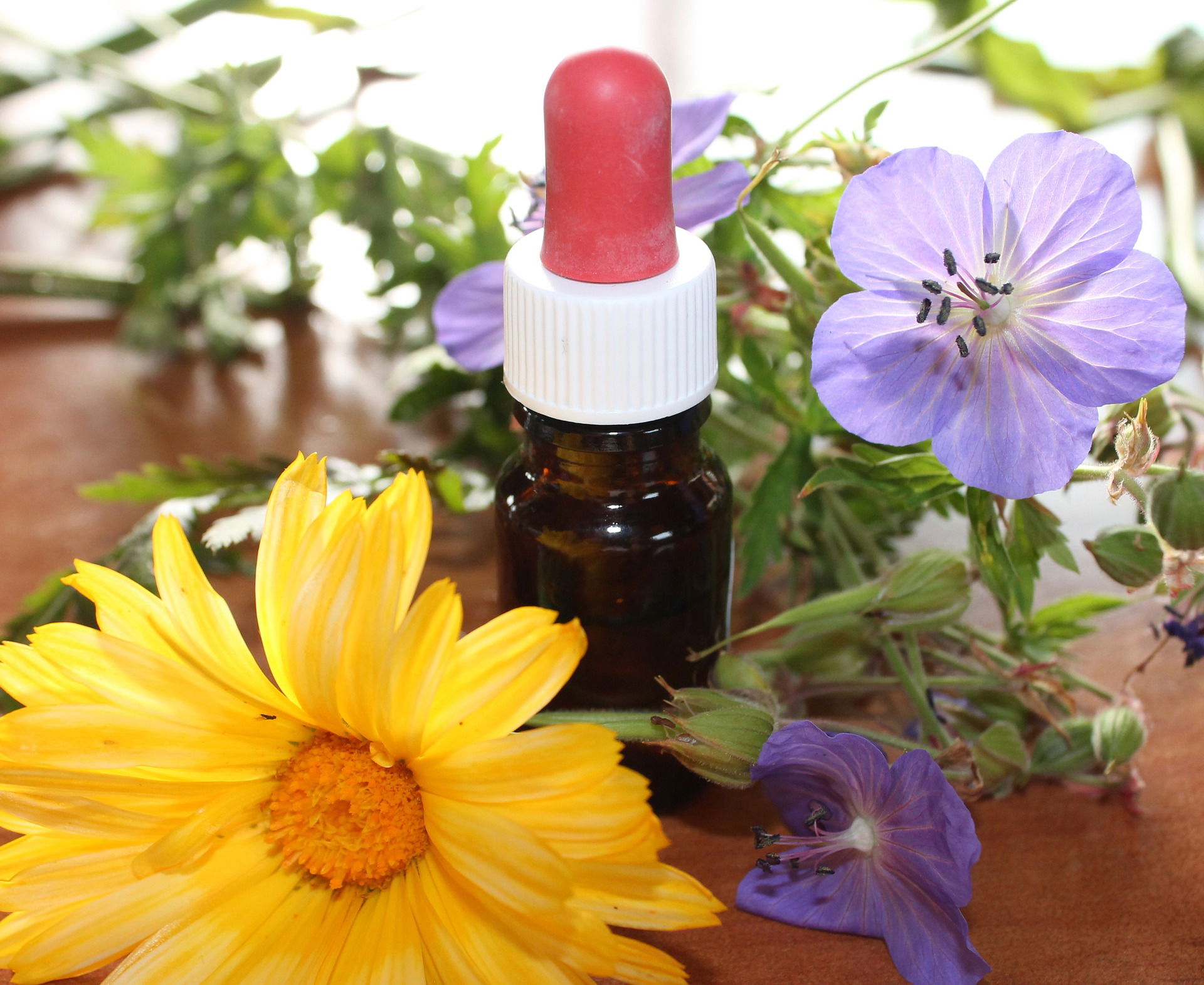 Principles of Naturopathic Medicine