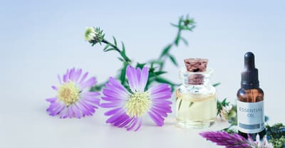 10 medicinalväxter du kan odla själv i trädgården