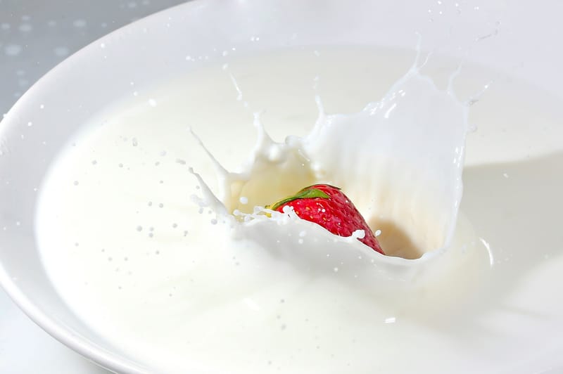 Fresh Milk