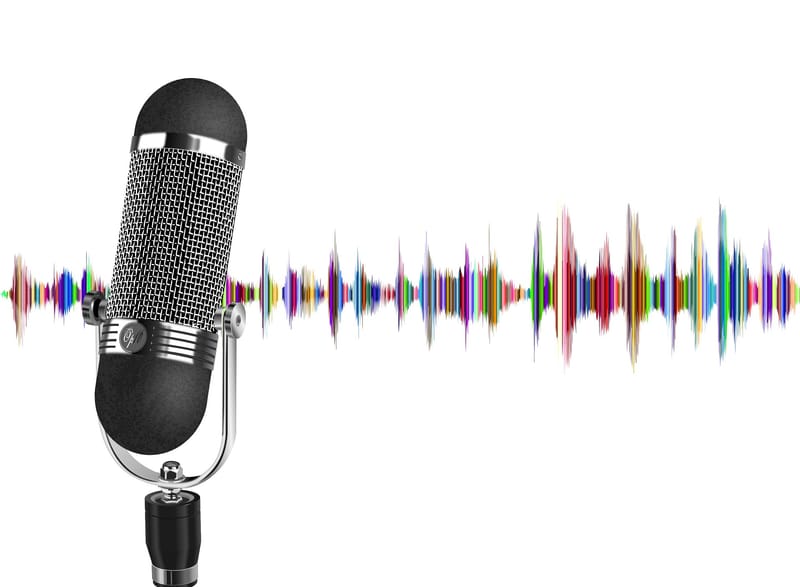 Transcription of Voice Recordings and Videos