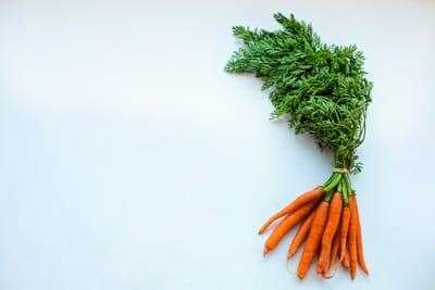 Odla rotfrukter från frö – Lyckas med morötter, rödbetor och palsternacka