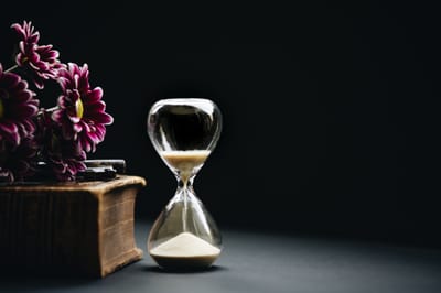 מדריך במתנה image