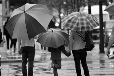 To parent or Not to parent