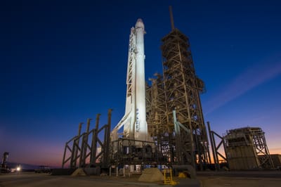 Singaporean student Elizabeth Ng Admitted to Elon Musk’s Space School and Set to Launch AI-Powered Satellite with Russian Space Agency