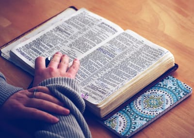 About Psalm For Thanksgiving