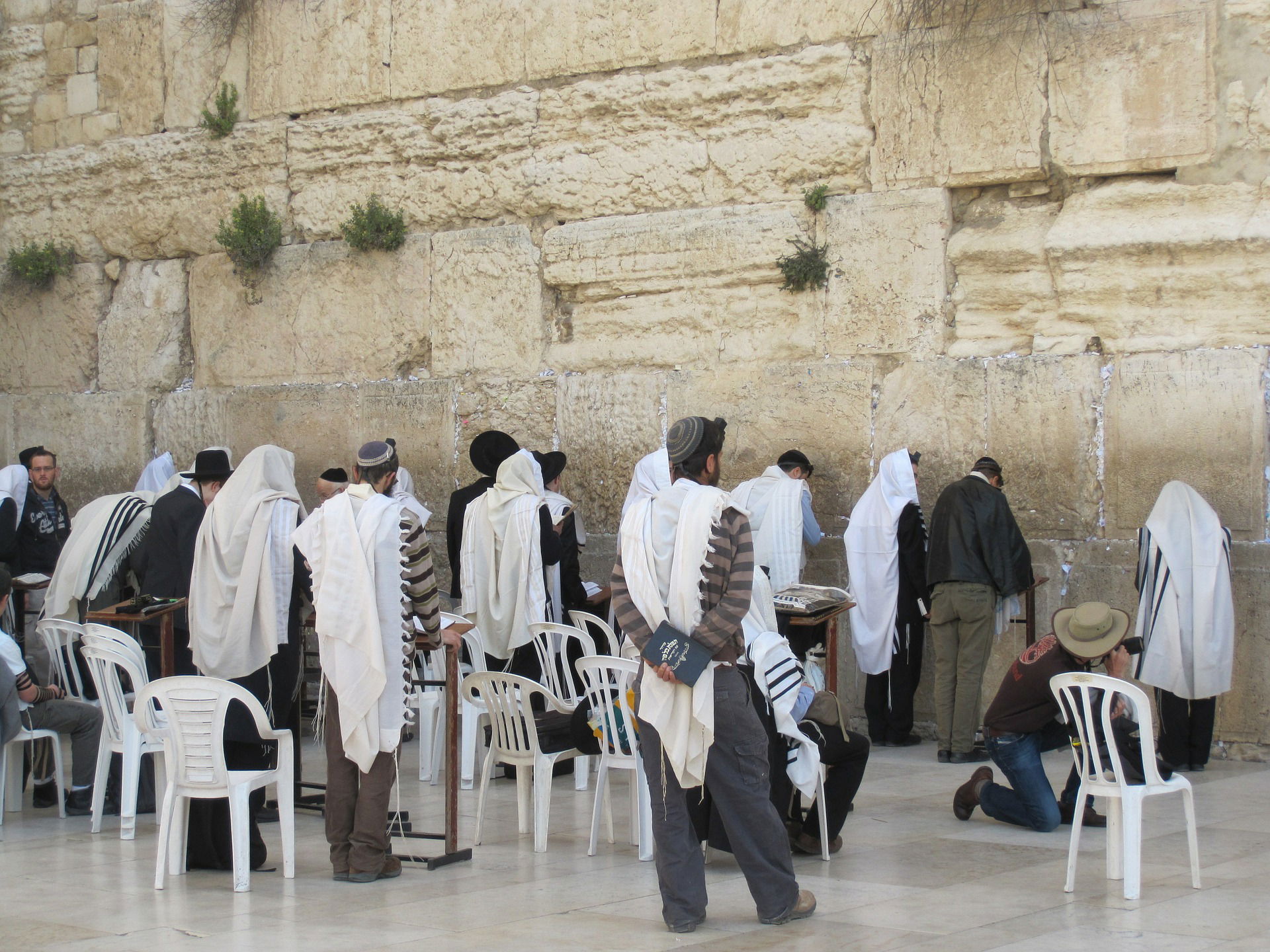 החינוך ותורת ארץ ישראל במשנת מרן הראי"ה קוק