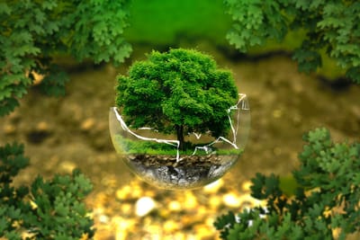 soutenons la Transition Écologique