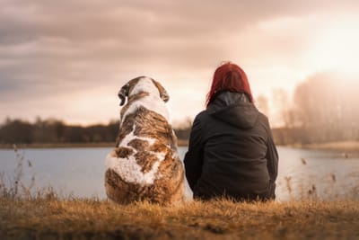 Nachhaltige Freundschaft