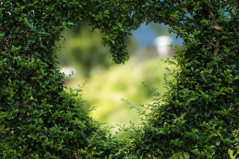 Corazonadas para un encuentro (Segunda parte)