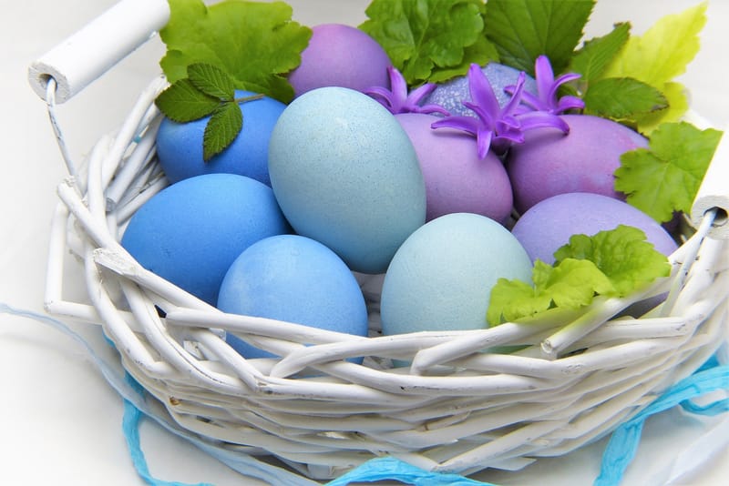 Ogden NG Easter project