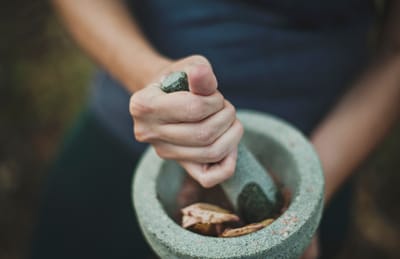 Things To Know Before Starting Herbal Supplements?