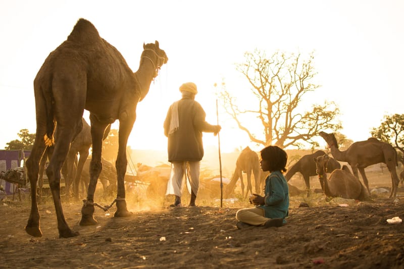 Rajasthan