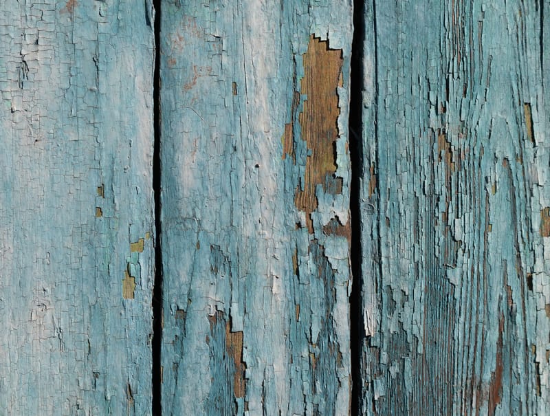 Should You Paint Over Rotted Wood?