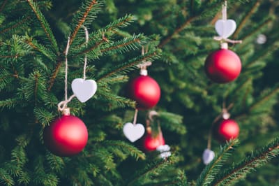 5 StressBusting™ Tips for Christmas Day