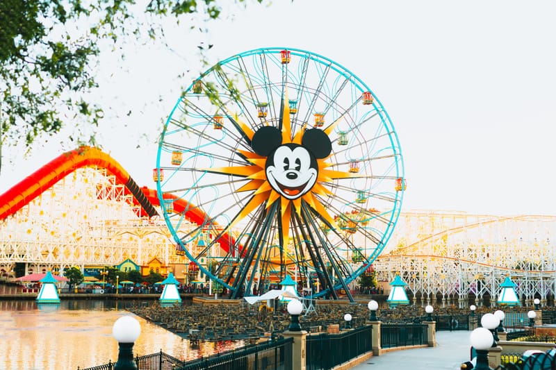 Theme Park Packages