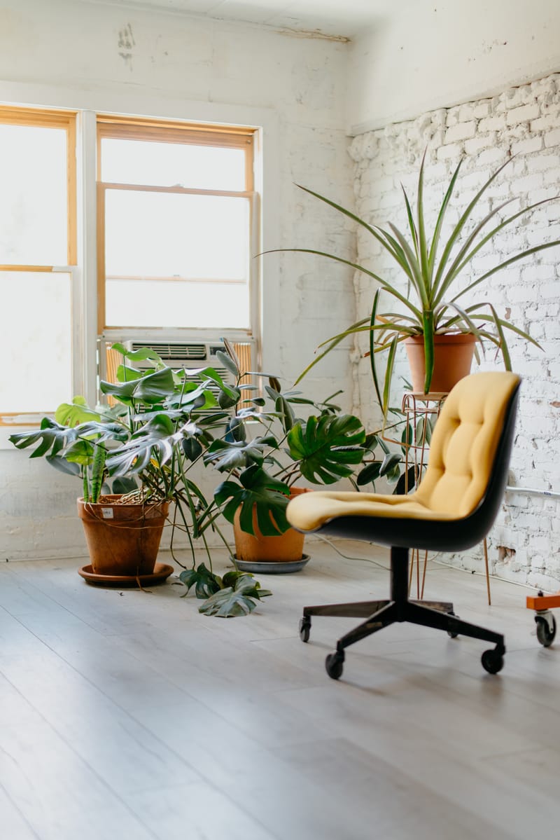 Office Chairs