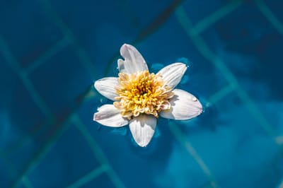 Beating the Blues Music File