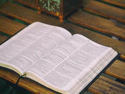 إنجيل الأحد 2024/8/25