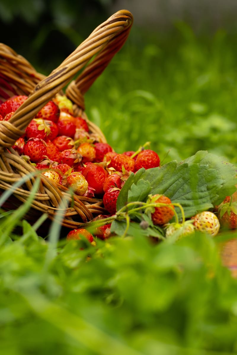 Produits Responsables