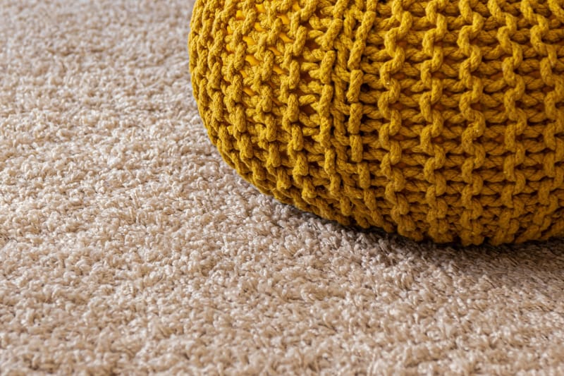 Carpet Steam cleaning