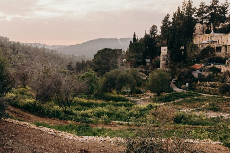 ישראל נמשלו לפירות ארץ ישראל