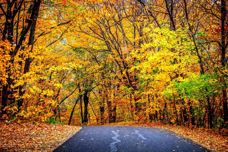 못지않게 중요한 것