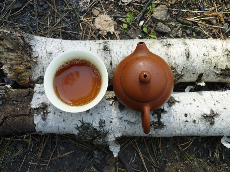 Shinrin -Yoku Forest Bathing with Mama Cacao Ceremony 22nd February, 2022