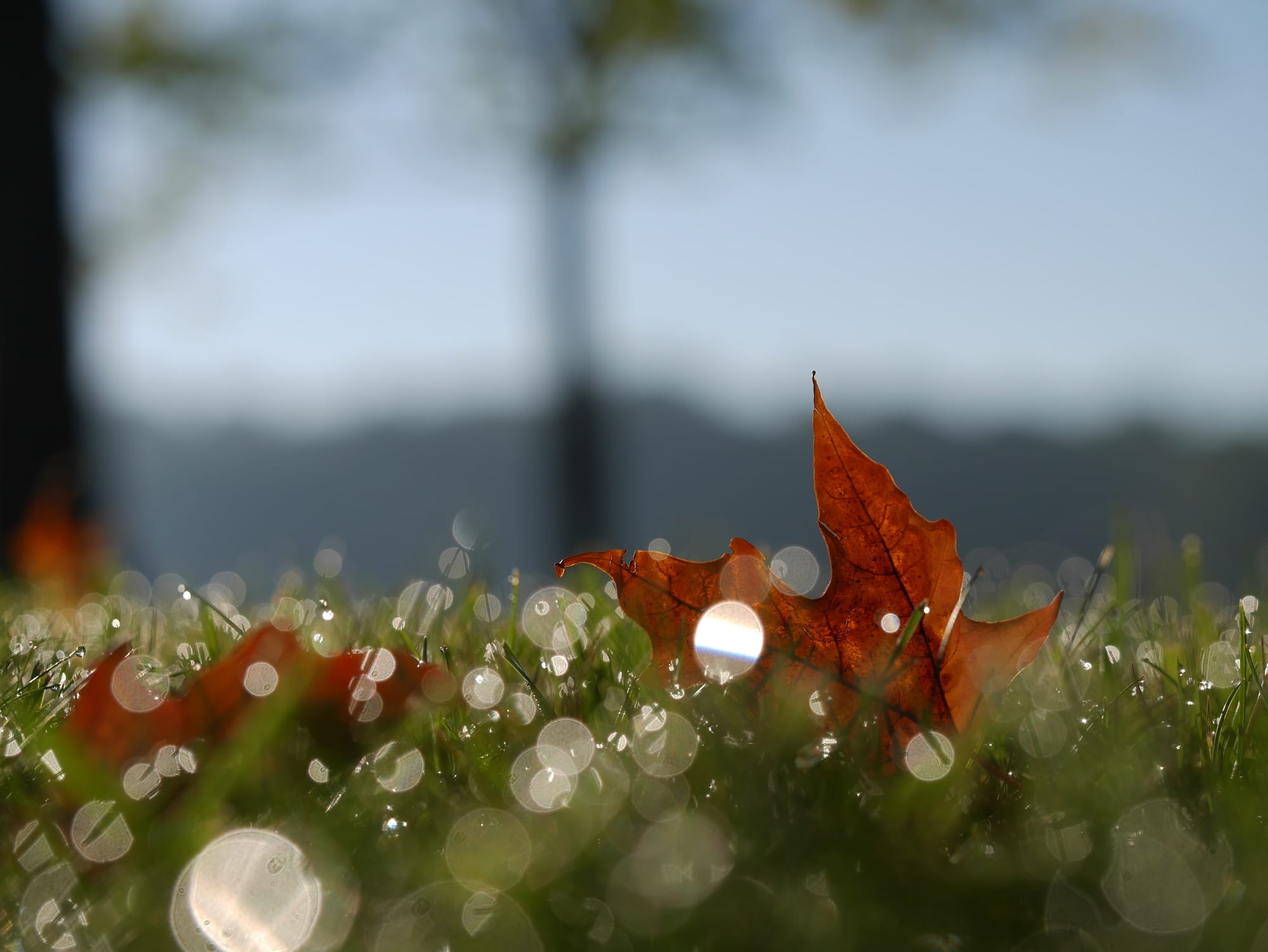 Seasons in my kaleidoscope
