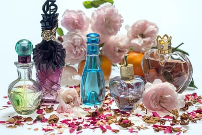 Ascention Perfumes and Colognes Magazine