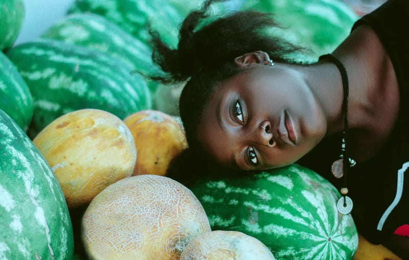 Documentary Collection