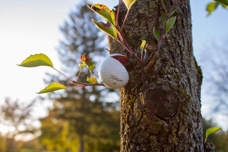 Règles de golf