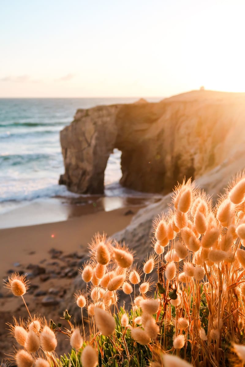 Presqu'île de Quiberon