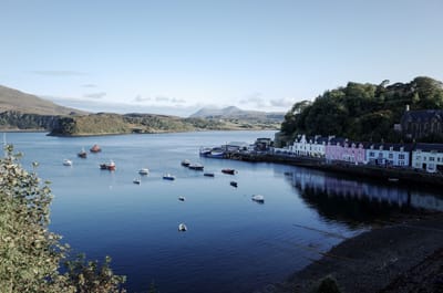 Video: Black bun Recipe