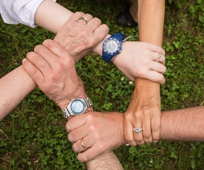 Steering Committee image