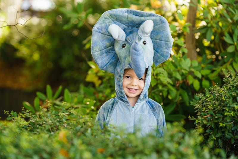 Horton Hears a Who