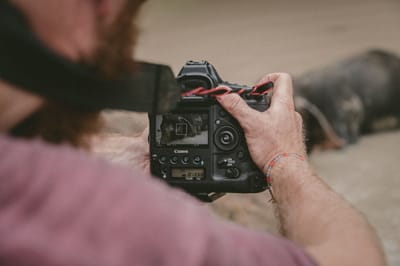 The Basics of Vlogging