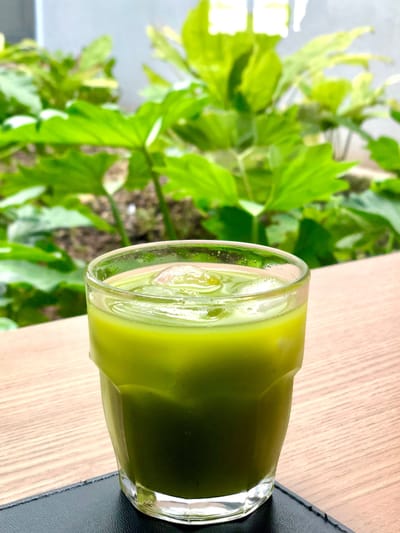 How to Make Vegetable Juice ?
