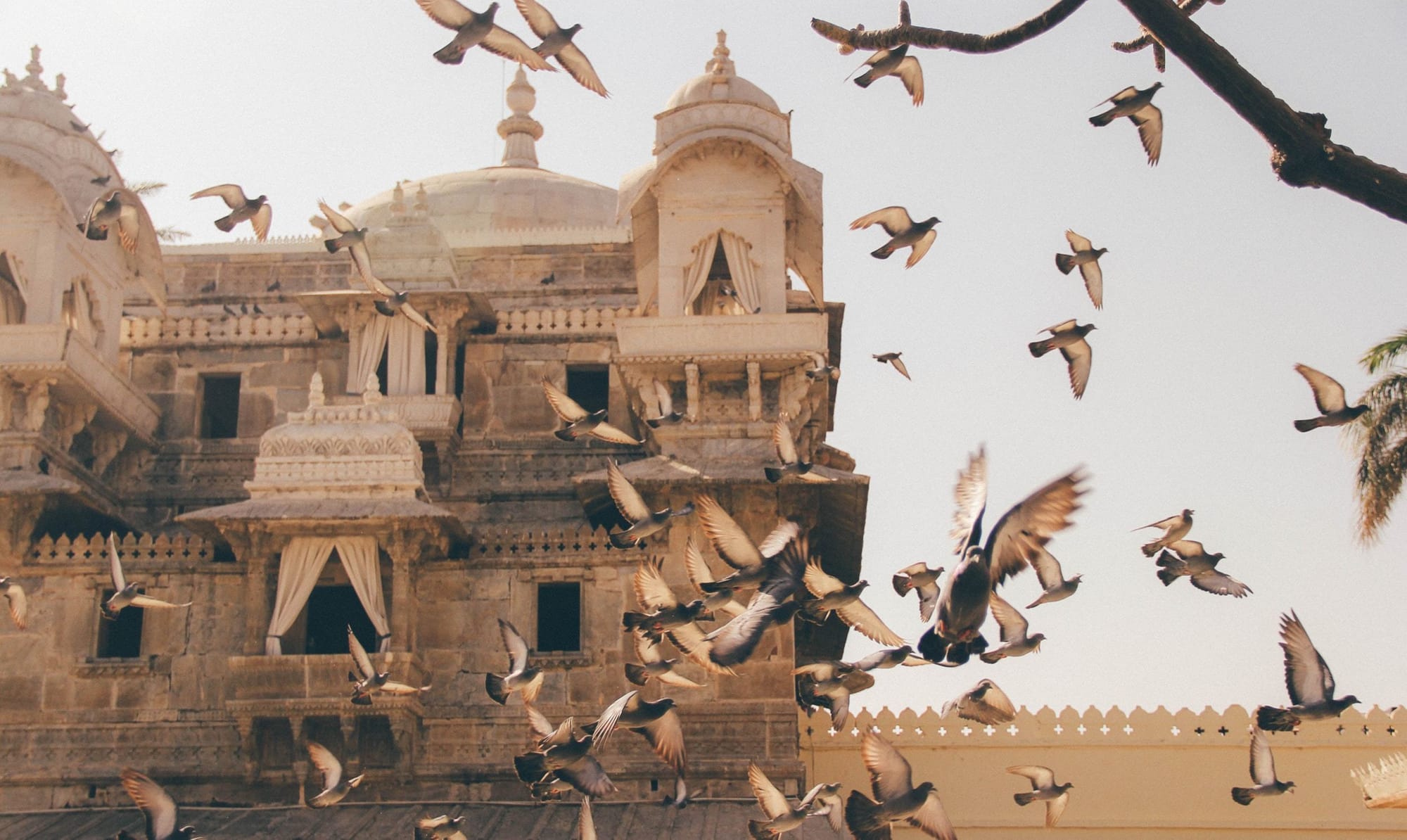 India, India...