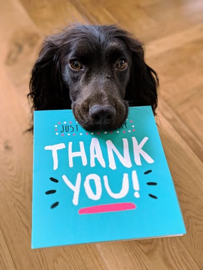 Thank you image