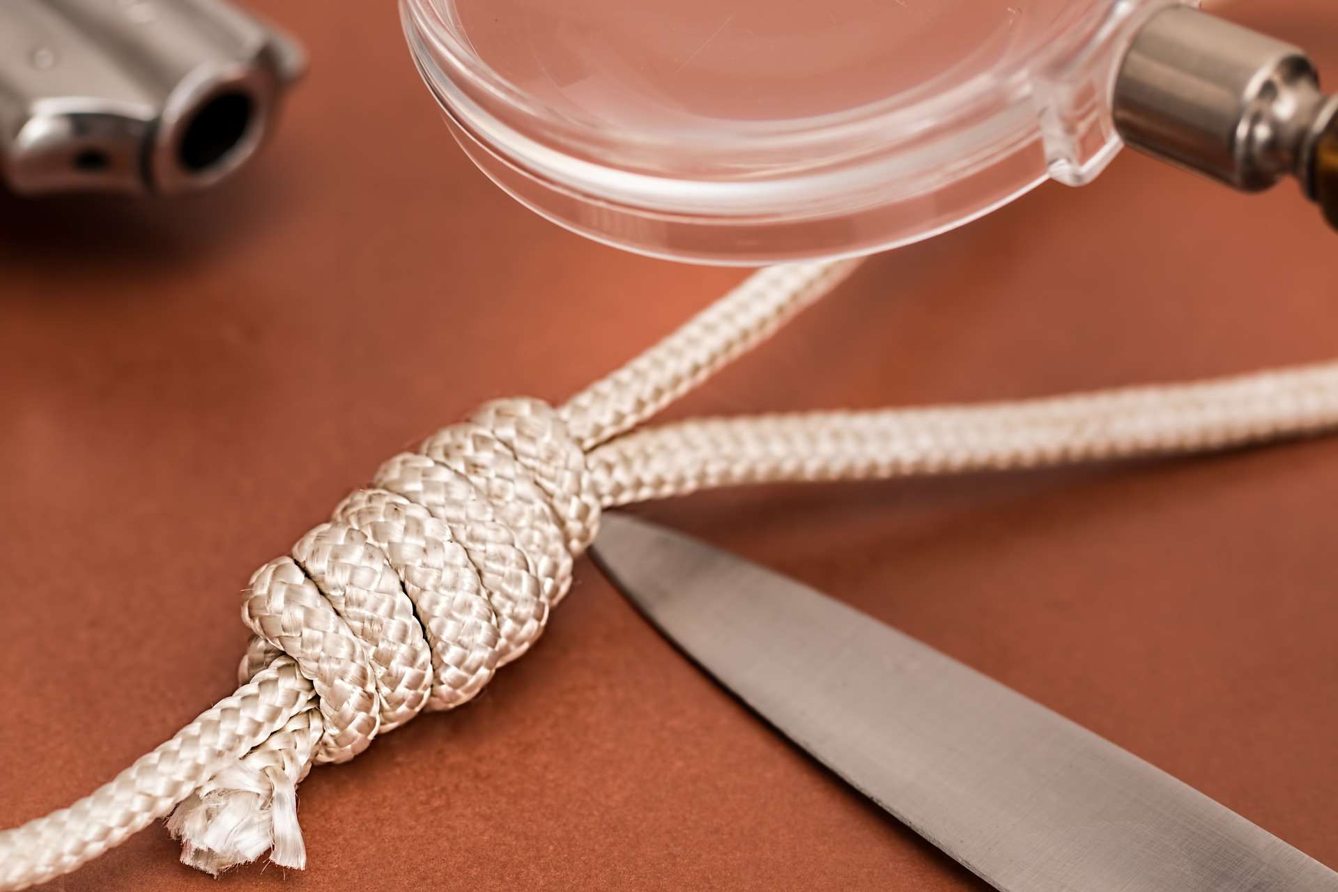 🎶 Auditmares – A Song Born of Forensic Fire