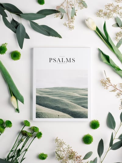 The Psalm- Alive Christians Diaries