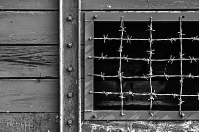 מסבירים לילדים את יום השואה? דווקא אל תחברו אותו ל-7 באוקטובר