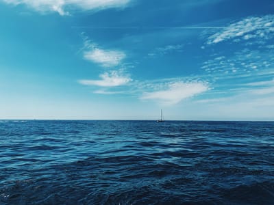 Durch Reinigung zur Klarheit für die neue Welt.